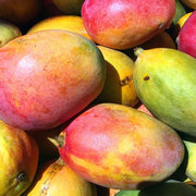 Mango extract ingredient in Rosemira Skincare for hydrating and revitalizing skin